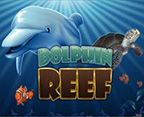 Dolphin Reef